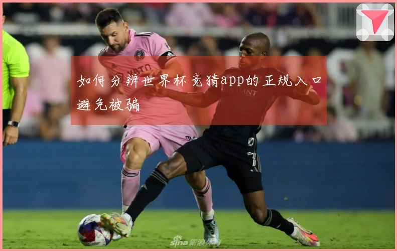 如何分辨世界杯竞猜app的正规入口避免被骗