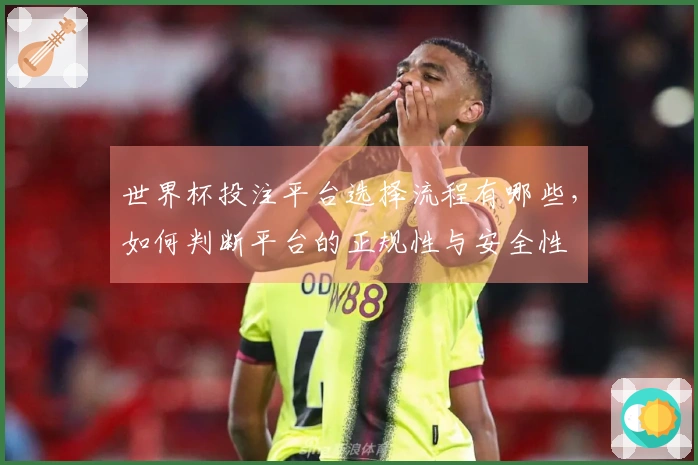 世界杯投注平台选择流程有哪些，如何判断平台的正规性与安全性