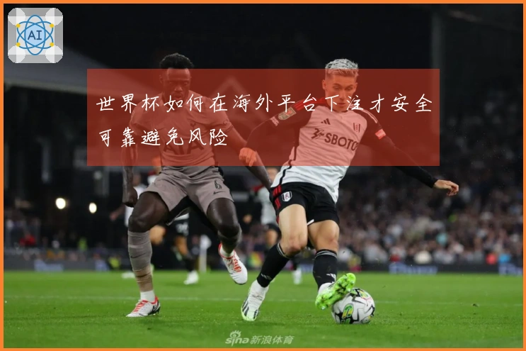 世界杯如何在海外平台下注才安全可靠避免风险